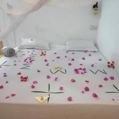 Wow Beach House Jambiani  Dış mekan fotoğraf
