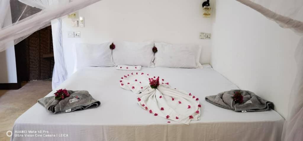 Wow Beach House Jambiani  Dış mekan fotoğraf