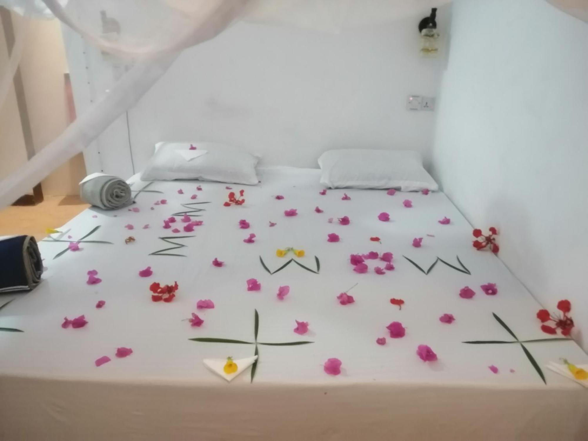 Wow Beach House Jambiani  Dış mekan fotoğraf